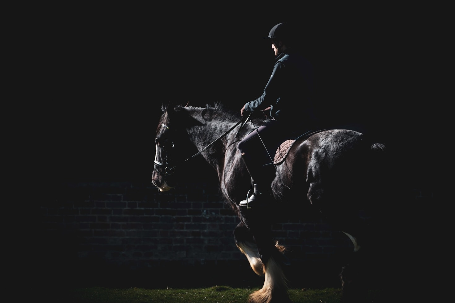 How to Tailor Nutrition for High-Performance Horses